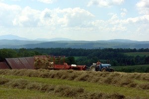Small Dairy Farm Internship in Vermont | Beginning Farmers