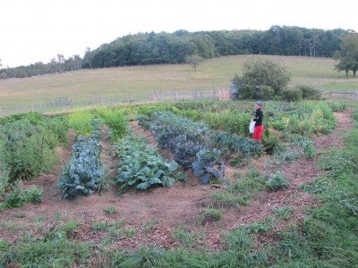 Farm - Mountian School in Virginia