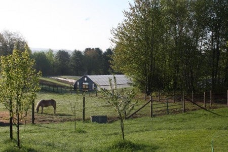 Winterberry Farm