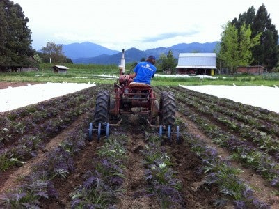 Organic Farm Tractor