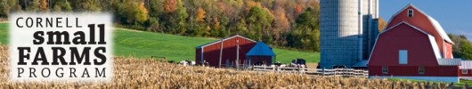 Small Farms Program Cornell