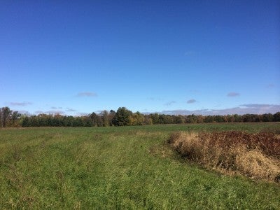 Hay Mow in Wisconsin