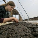 Planting Soil Blocks