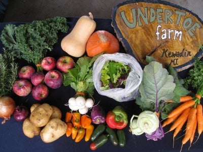 Farm Vegetables in CSA Share