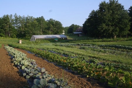 Farm Field Photo