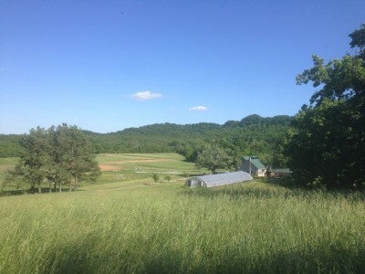 Kentucky Farm Picture