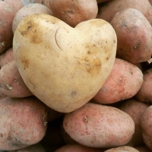 Potato Shape Heart