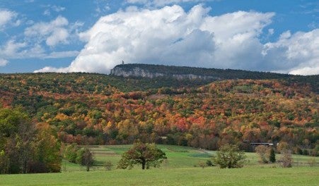 Farmland Leasing