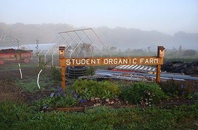 MSU Student Organic Farm