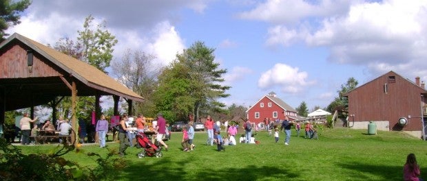 Heifer Farm Position