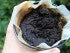 Coffee Grounds by Finding Coffee