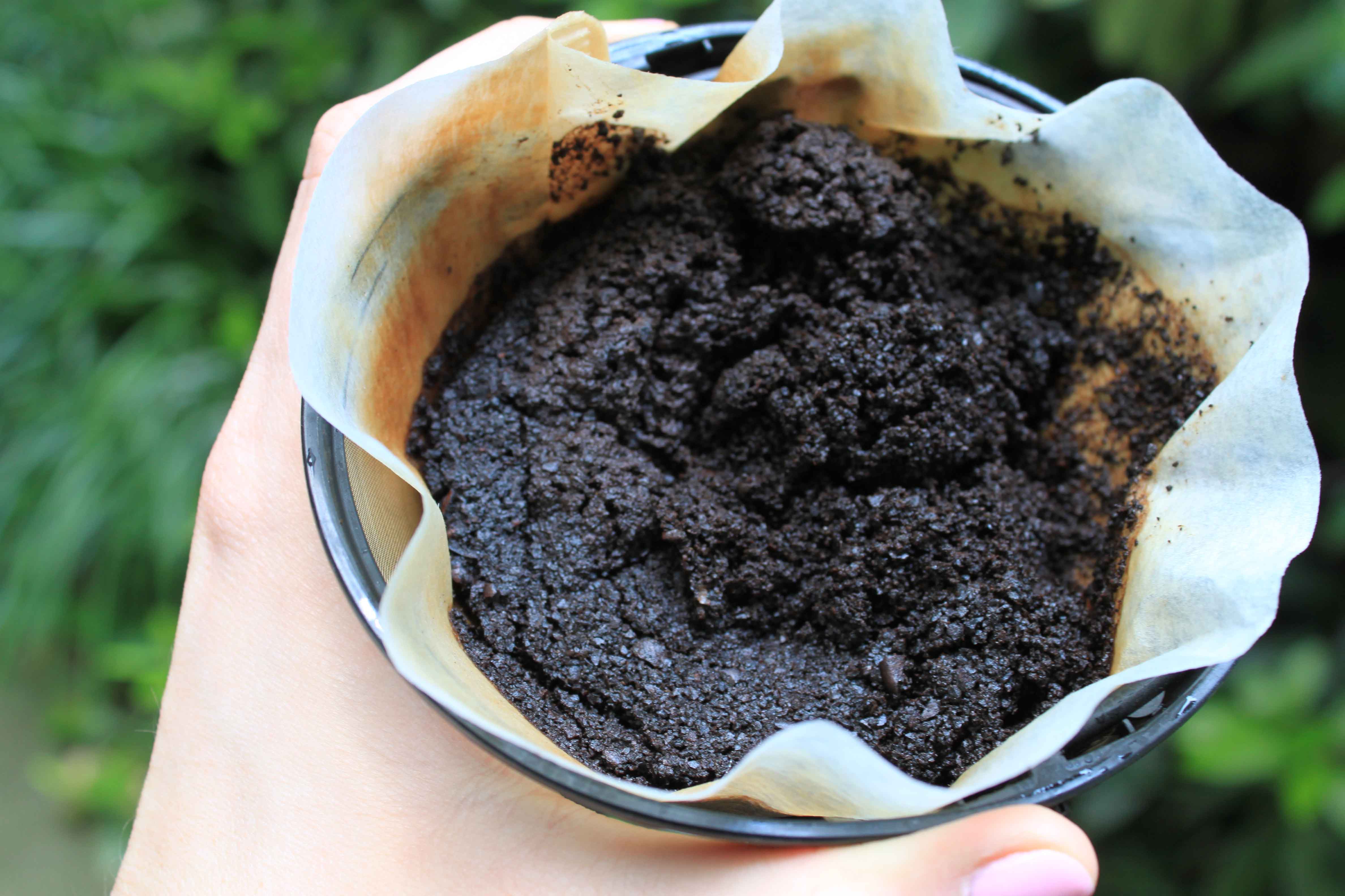 Coffee Grounds by Finding Coffee