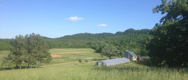 Kentucky Organic Farm