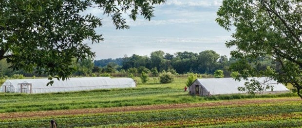 Farm Job - Farm Assistant in Alabama