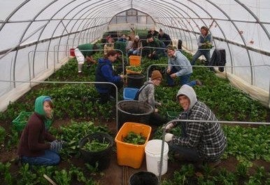 Organic Farmer Training Program