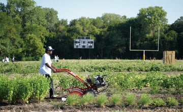 Farm Foreman Job in Texas