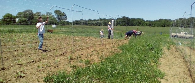 farm interns and apprentices