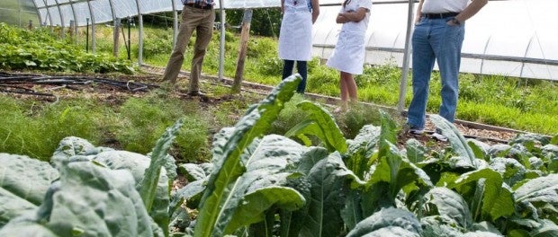 Winter Greens Farmer Training