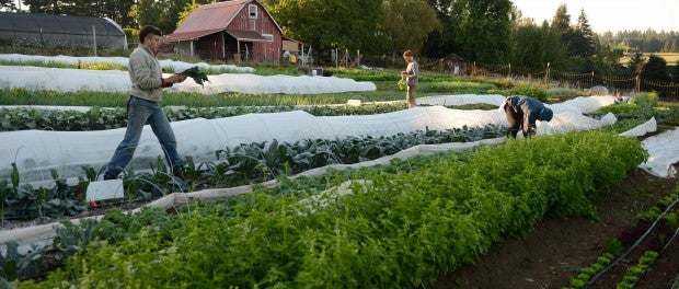 Farm Internship in Oregon