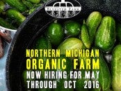 Organic Farm Apprenticeship