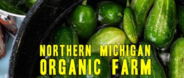 Organic Farm Apprenticeship