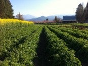farm apprenticeships in Oregon