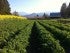 farm apprenticeships in Oregon