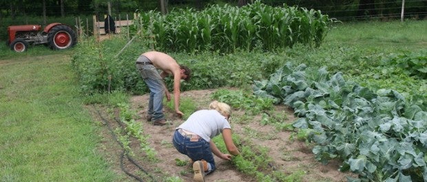 Organic Farm Internship in Northeast Pennsylvania