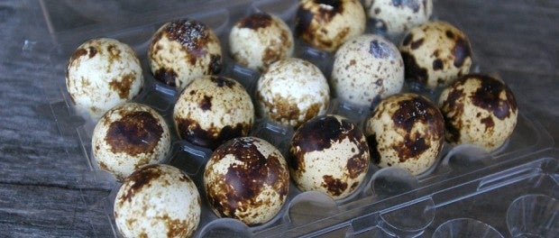 Quail Eggs by Feasting Freds