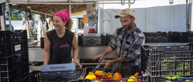 organic farmer job Illinois