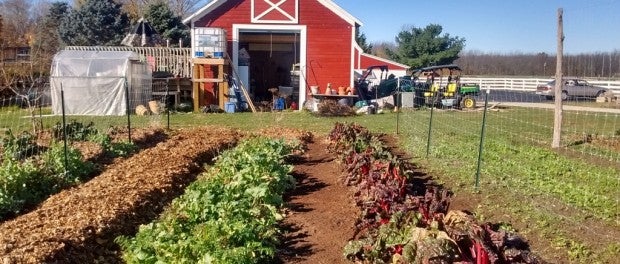 Diversified Small Farm