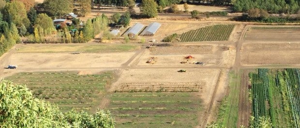 Oregon Farm Aerial View