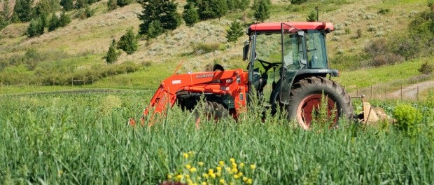 Farming in Montana