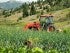 Farming in Montana