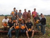 farm pumpkins