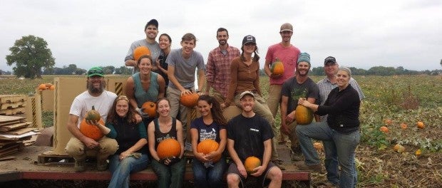 farm pumpkins