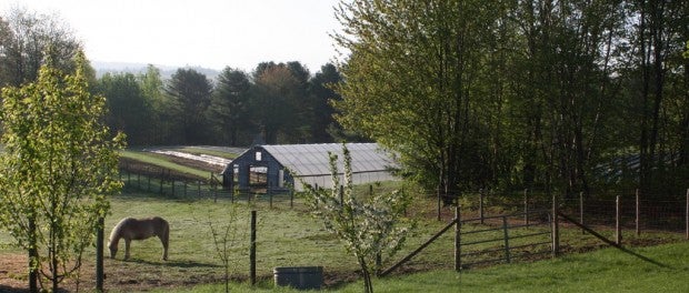 organic farm in Maine