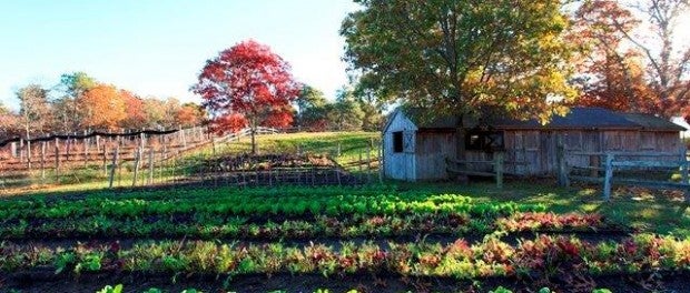 organic farm hand