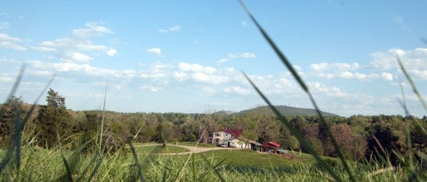 pasture based farm