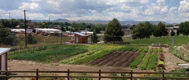 Urban Agriculture Colorado