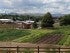 Urban Agriculture Colorado