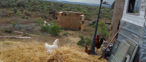 Oregon Desert Farm