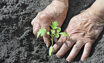 Cornell Small Farms Program