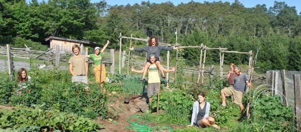 growing food, building community