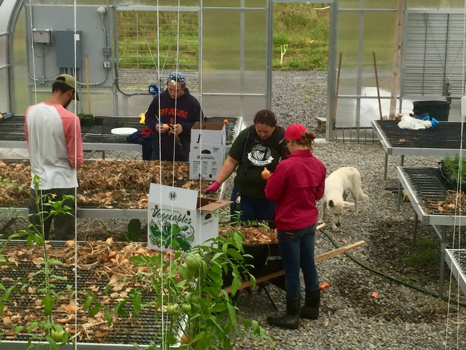 Sustainable Farming and Food Systems Program