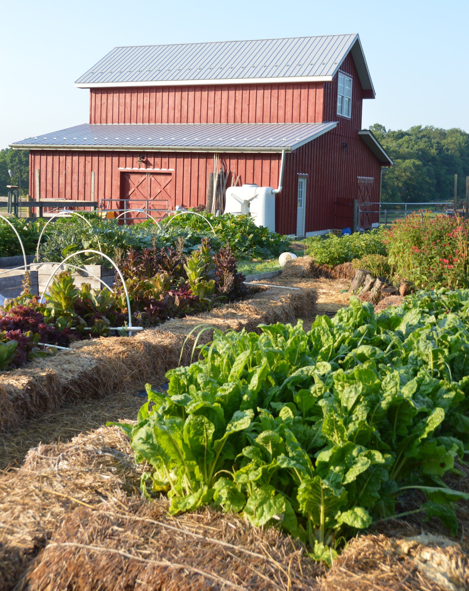 Summer Farm Internship in West Virginia