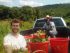 Organic Farm Internship in New Jersey