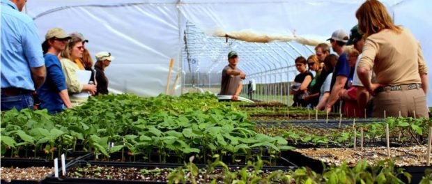 Novice Farmer Program at MSU’s North Farm