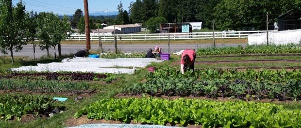 Food Bank Nonprofit