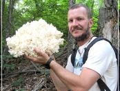 Study Mushrooms with Tradd Cotter